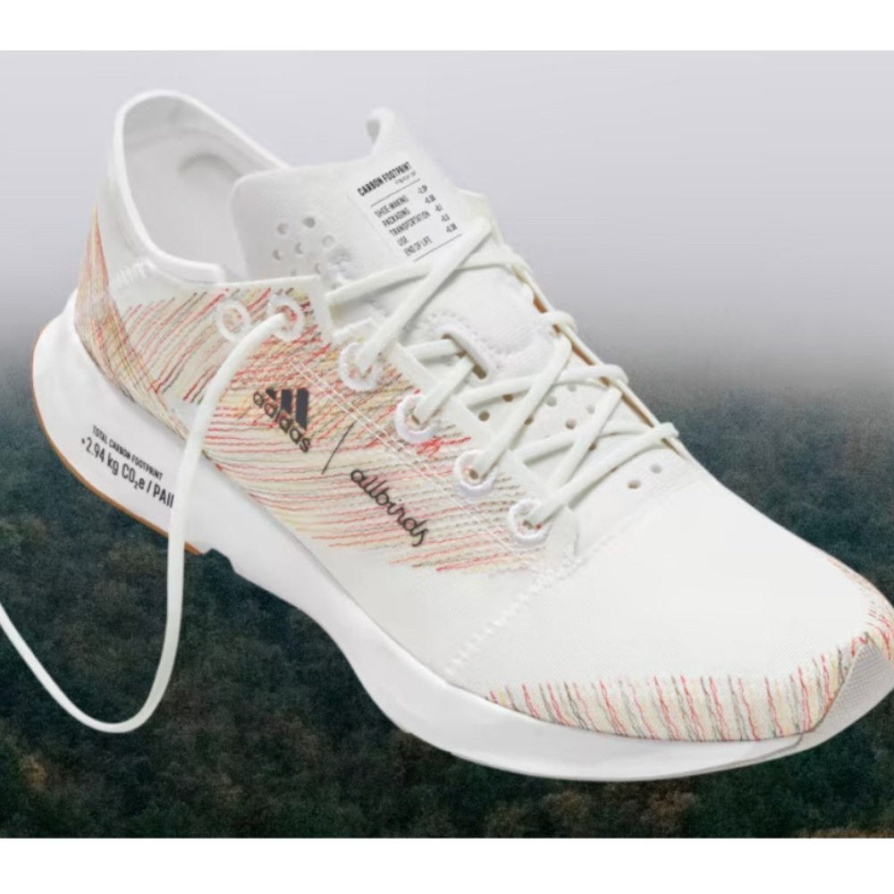 Allbirds X Adidas running sneakers